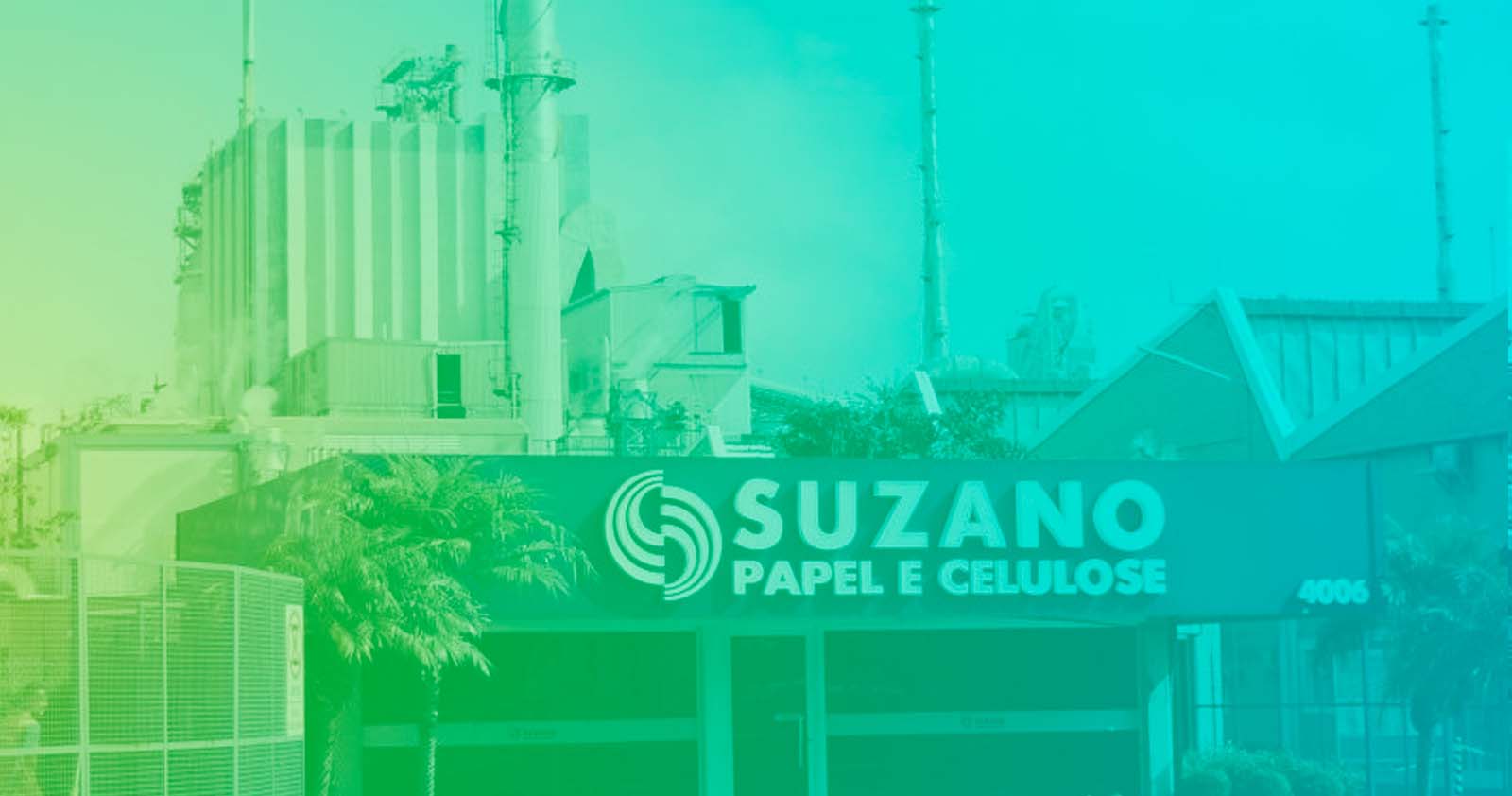 Suzano anuncia nova fábrica de celulose com investimento de 19,3 bilhões